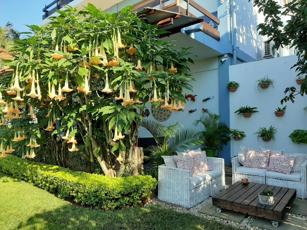 Figtree Guesthouse Μαπούτο Εξωτερικό φωτογραφία